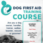 Dog first aid training course