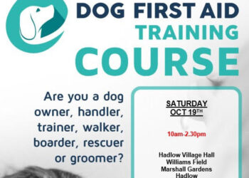 Dog first aid training course